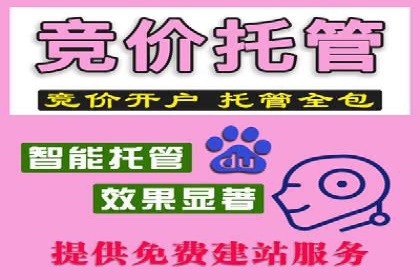 百度推广竞价排名优化全攻略及某企业成功案例