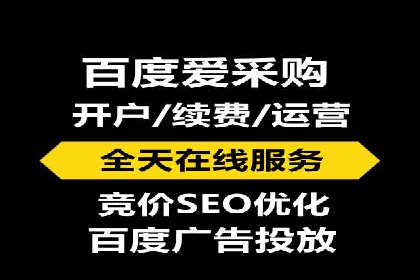 百度竞价代理的运营策略与成功案例分析